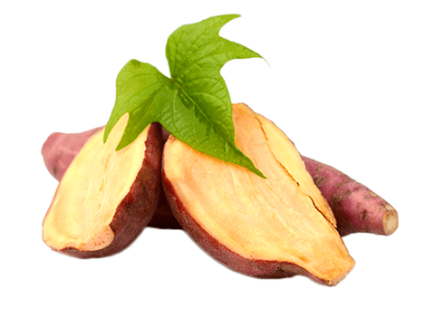 Ρίζα Yacon στο Reduslim