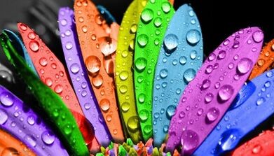 Πώς να χάσετε βάρος με τη δίαιτα 6 πετάλων